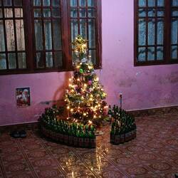 Decorating the Christmas tree with empty beer bottles seems to be a thing, sometimes...