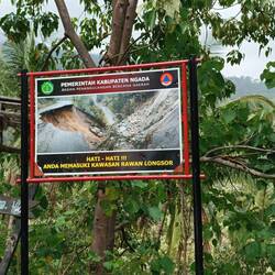 Photo-pictoral warning sign about road damages, due to heavy rain 😯