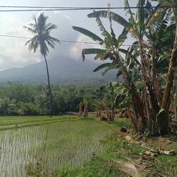 Again, Mount Inerie 😎