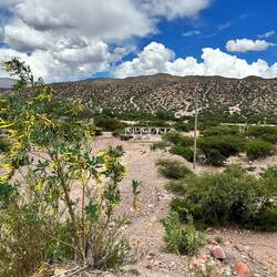 Landschaft mit ehemaliger Bahnbrücke