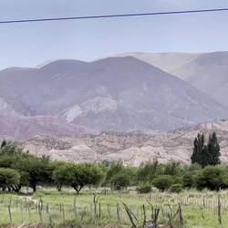 plus Windgeräusche - es ging starker Wind von Süd nach Nord