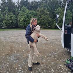 Versuch des Kidnappings. 😉