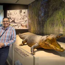 Sweetheart was an estuarine crocodile ... MAGNT — Darwin, NT.