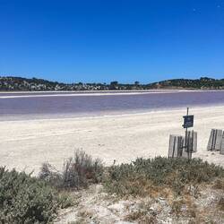 A few salt pink lakes on the island