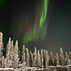 Polarlichter 🤩