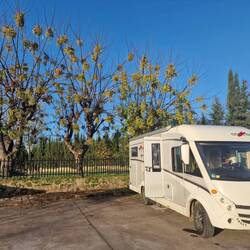 De zon op Nieuwjaarsdag!