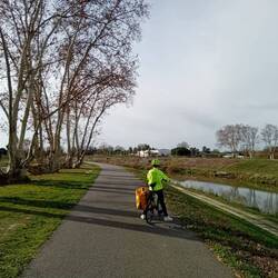 Das nenne ich mal pittoreske Platanen!