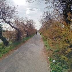 Schöner können Radwege nicht sein. Kanaluferweg hinter Montpellier