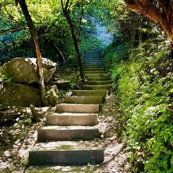 Wanderweg bei Diamond Lake