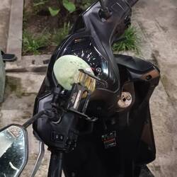 Parking under a mango tree, can lead to unexpected gifts... 😅