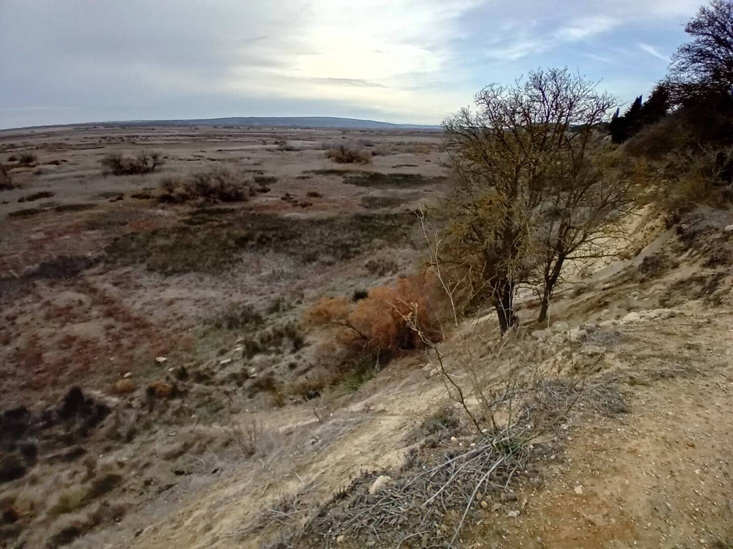 Heidelandschaften über hunderte von Kilometern.