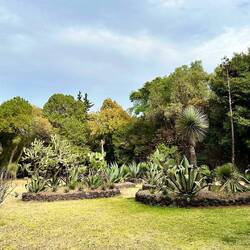 In the local park - 18 bird species spotted (16 life ticks)