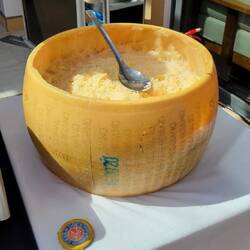 Parmesan cheese shredded inside a Parmesan wheel