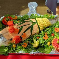 Salmon