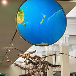 N.Z's isolated position on Earth