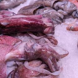 Paella was made by fishermen utilising all the scrap in their nets to feed their families.