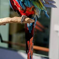 Die Attraktion der Strandpromenade Ierapetra´s