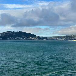 Wellington Harbour
