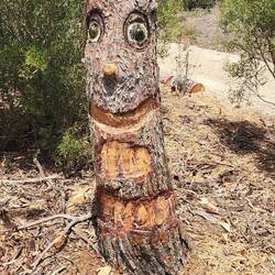 Some handy work carving from a pine stump in Victoria Park, Moonta