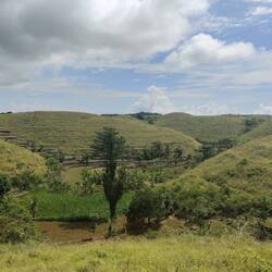 Allez on se concentre et on trouve la ref! (Sans tricher!)