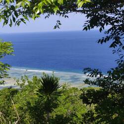 La culture d'algues pour les ice cream 🍦🍦🍦