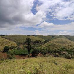 Le premier qui trouve la ref gagne une Bintang.