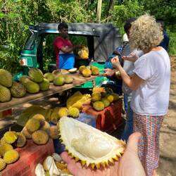 Rambutan