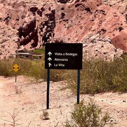 deutsche EEinwanderer ...