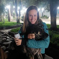 Ansonsten ist nicht viel los. Es sind mehr Hunde als Menschen auf den Gassen 🐶😅