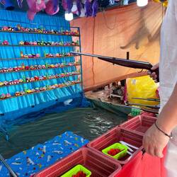 Won some stuffed animals