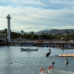 Der Hafen mit Leuchtturm von Loreto