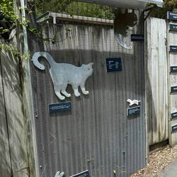 Custom fence to keep out all mammals. This shows how high each can jump.