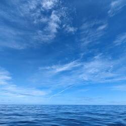 Blue everywhere!