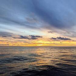 And another awesome sunset to top it off