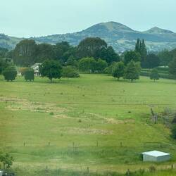 Lush farming land