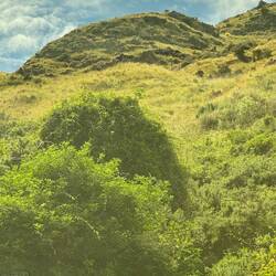 Yes, it's that steep in the gorge [taken from inside our carriage].