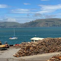 Otago Peninsula