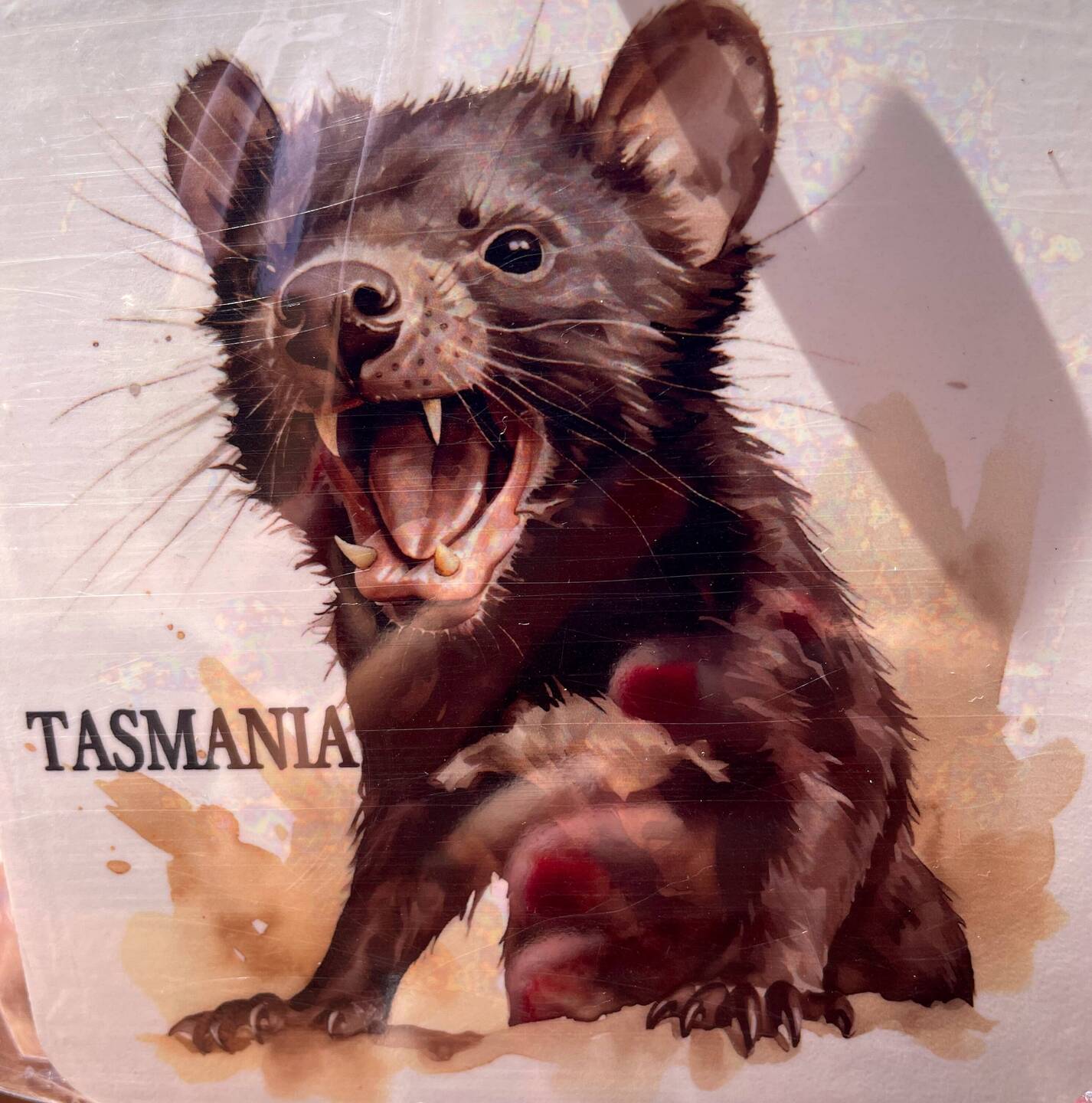 der tasmanische Teufel