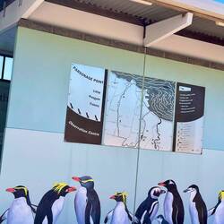 Pinguinaufzuchtstation