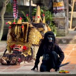 The monkey adds comic relief as it pesters Barong @ the Barong & Keris Dance venue — Bali, Indonesia