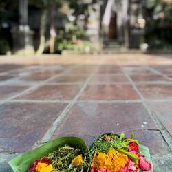 Fresh offerings are a daily occurence everywhere in Bali.