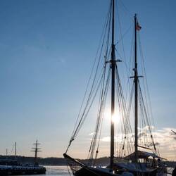 Die Sonne haben wir lange nicht mehr gesehen ☀️