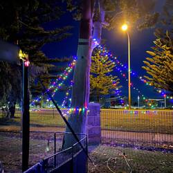 Some of our Christmas lights