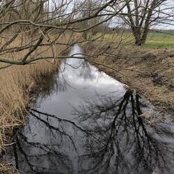 Geisel vor Zscherben