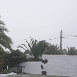 In anstatt über den Wolken...