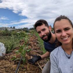 Unsere frisch gepflanzte Baumreihe!