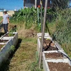 Der Gemüsegarten im Wandel