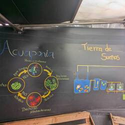 Aquaponik in der Theorie...