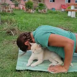Hartnäckigkeit zahlt sich aus