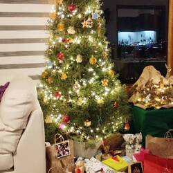 ...und ein sehr gemütliches Weihnachtsfest verbracht